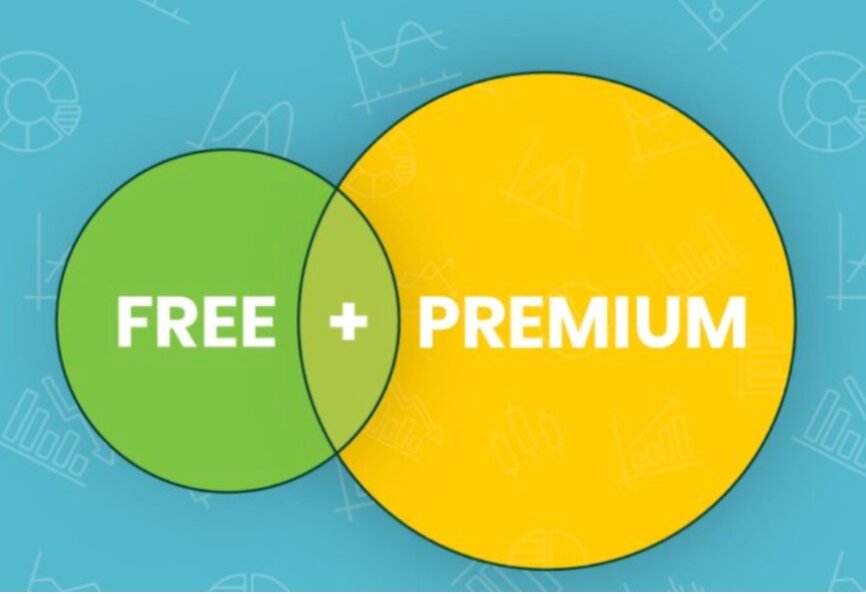 What Does Freemium Mean?
