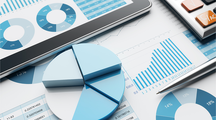 Why is SAS Software Important?